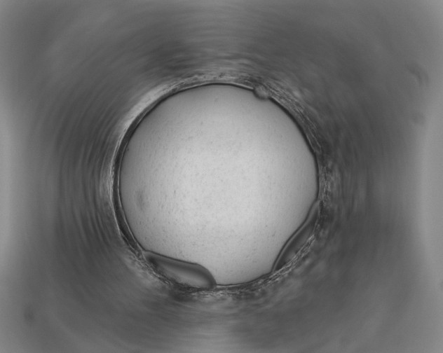 X0000112920100200909141321