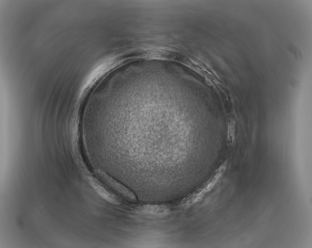 X0000112920101200909141321