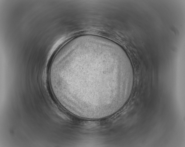 X0000112920102200909141320