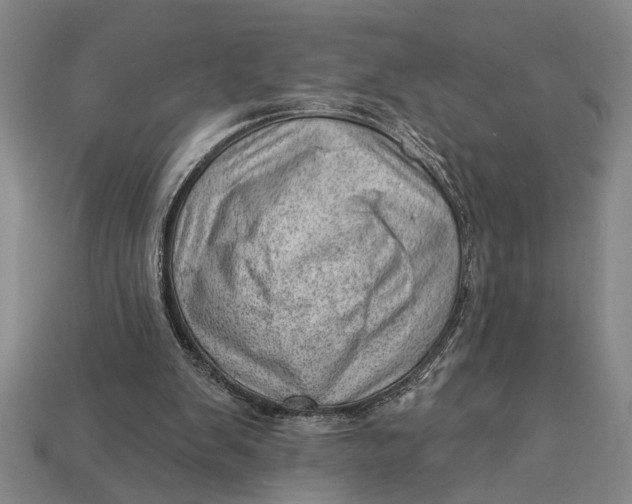 X0000112920103200909141320