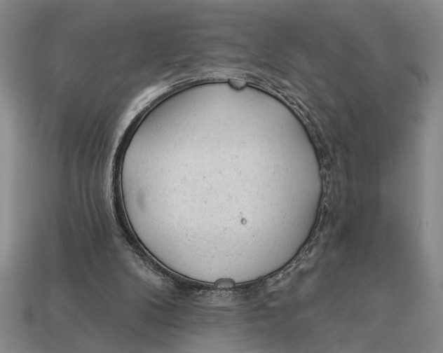 X0000112920104200909141320