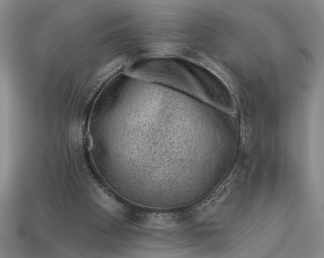 X0000112920105200909141320