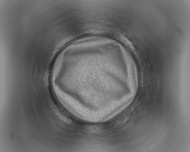 X0000112920106200909141320