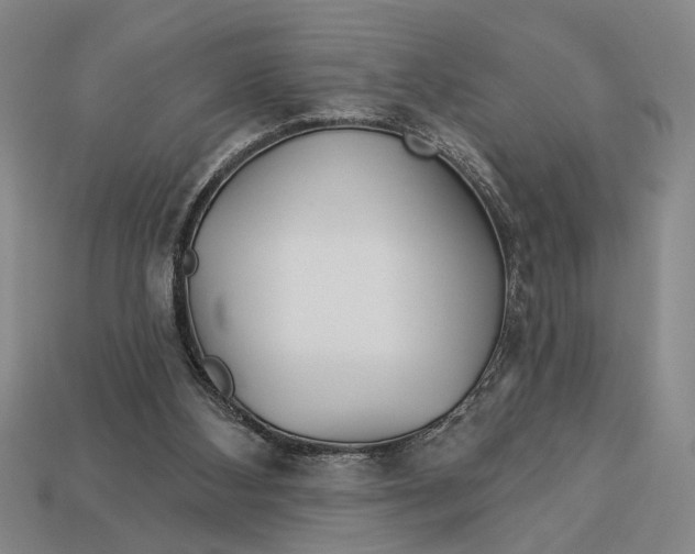 X0000112920108200909141320