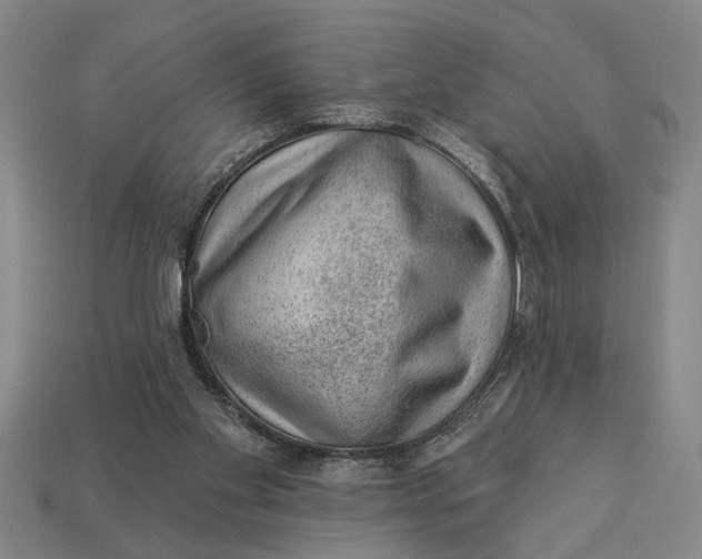 X0000112920109200909141320