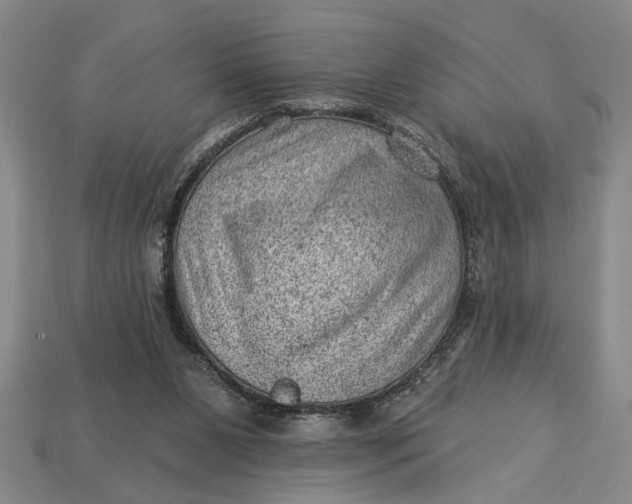 X0000112920111200909141320