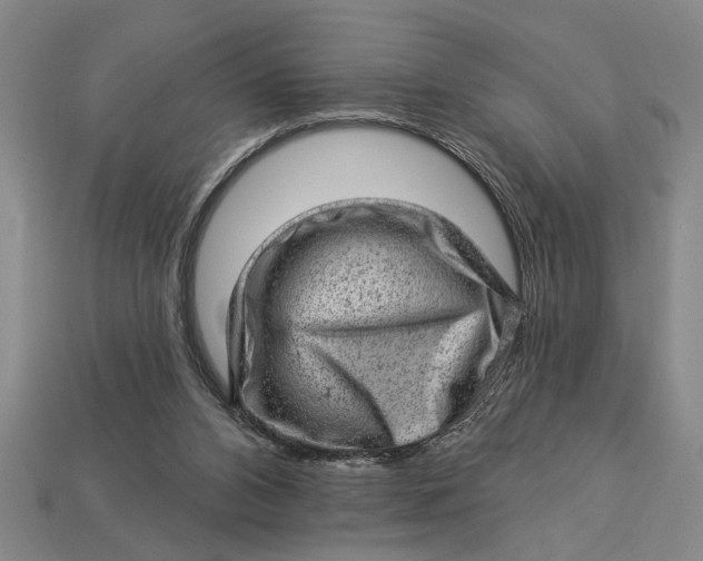 X0000112920112200909141320