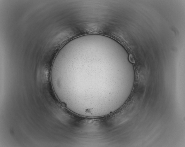 X0000112920117200909141320