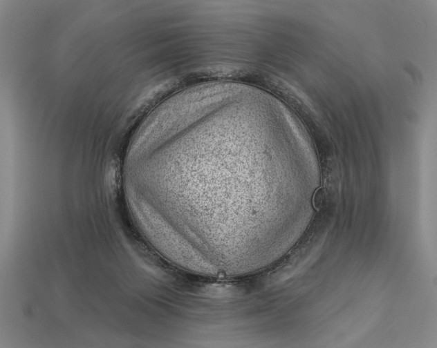 X0000112920119200909141320