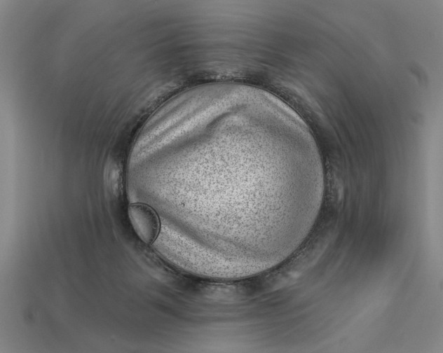 X0000112920123200909141320