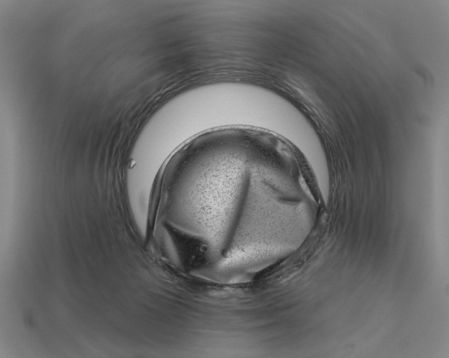 X0000112920125200909141320