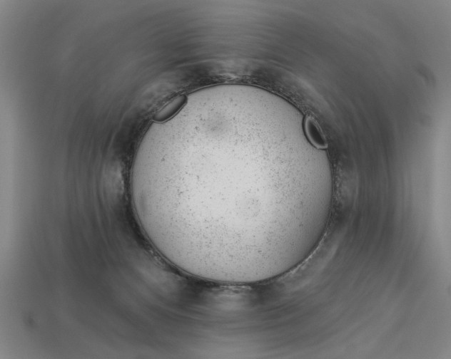 X0000112920128200909141320