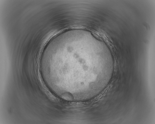 X0000112920145200909141319
