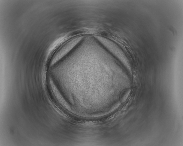 X0000112920149200909141319