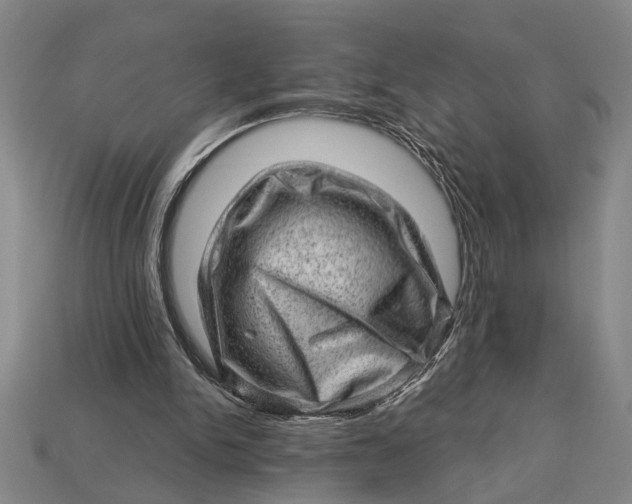X0000112920150200909141319