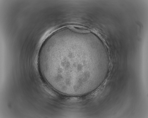 X0000112920151200909141319