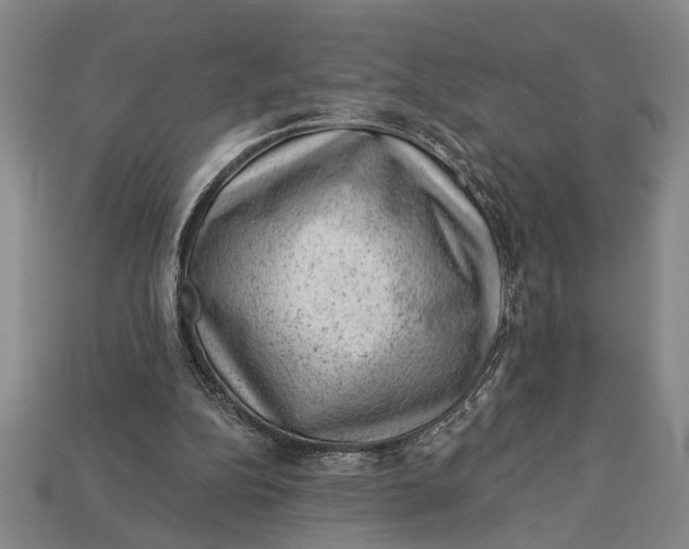 X0000112920152200909141319