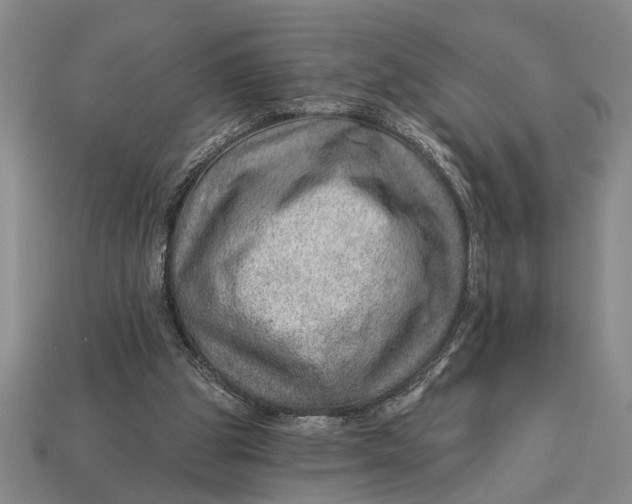 X0000112920153200909141319