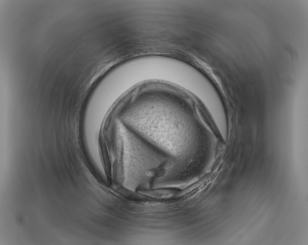 X0000112920154200909141319