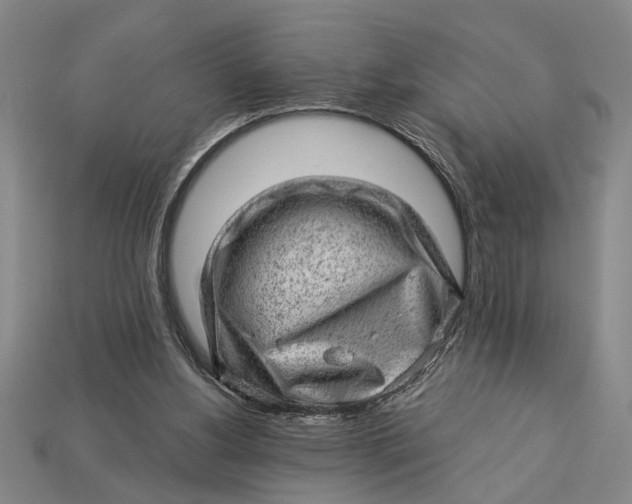 X0000112920156200909141319