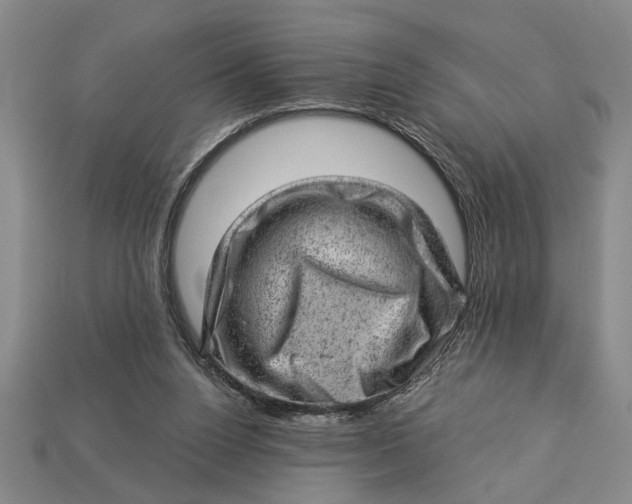 X0000112920160200909141320