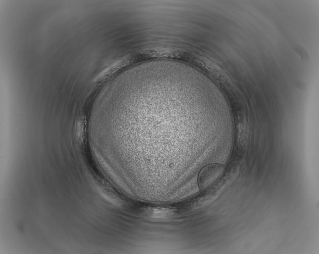 X0000112920165200909141320