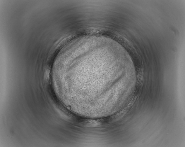 X0000112920166200909141320