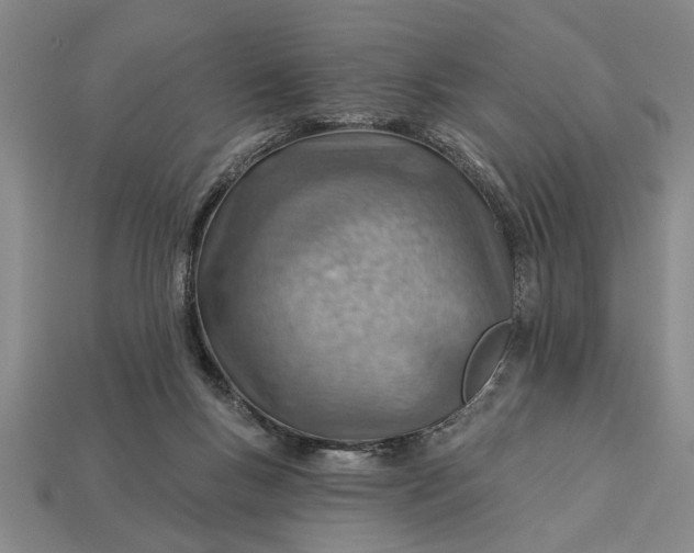 X0000112920167200909141320