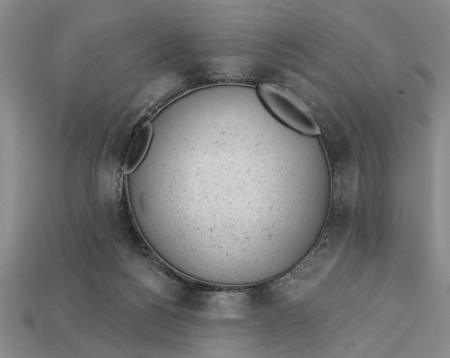 X0000112920168200909141320