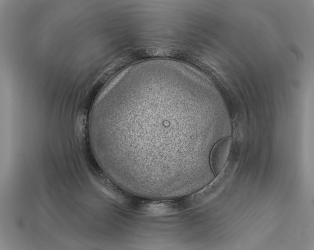 X0000112920171200909141320