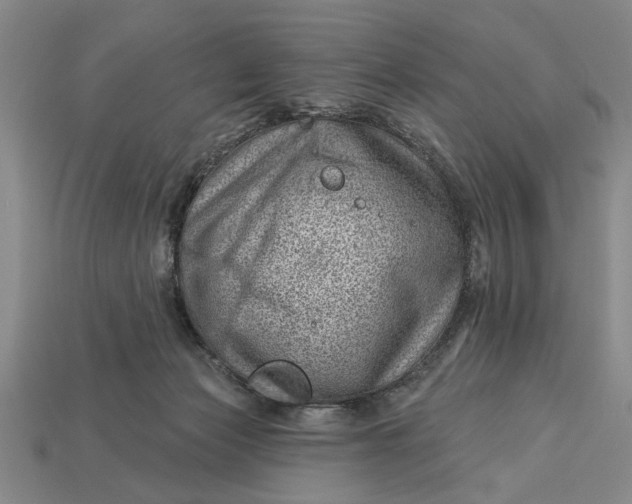 X0000112920173200909141320
