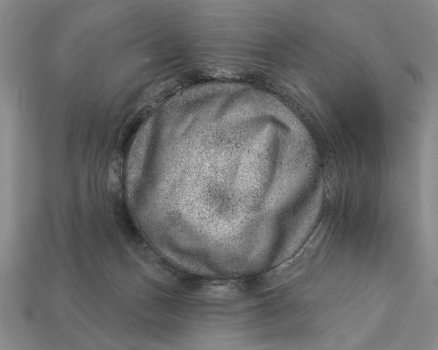 X0000112920175200909141320