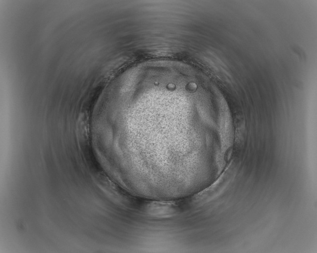 X0000112920179200909141320