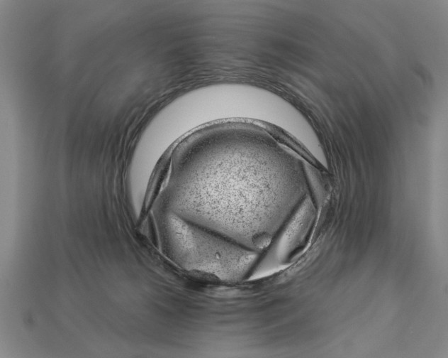 X0000112920180200909141320
