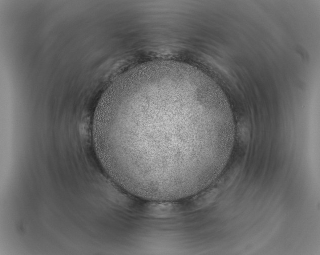 X0000112920181200909141320