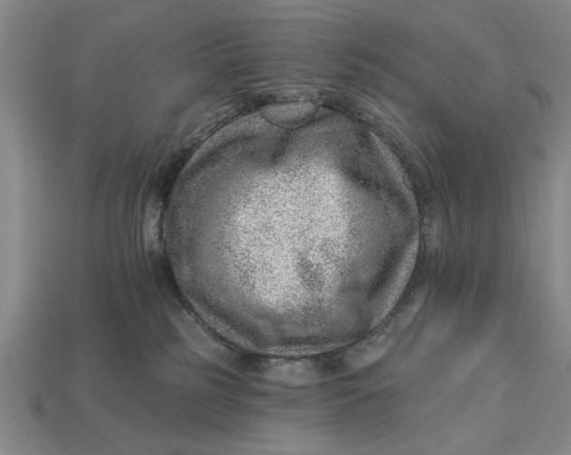 X0000112920185200909141320