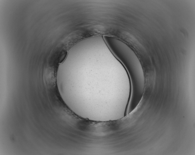 X0000112920186200909141320