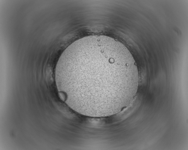 X0000112920187200909141320