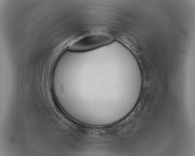 X0000112920193200909141319