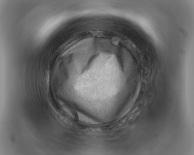 X0000112920194200909141319