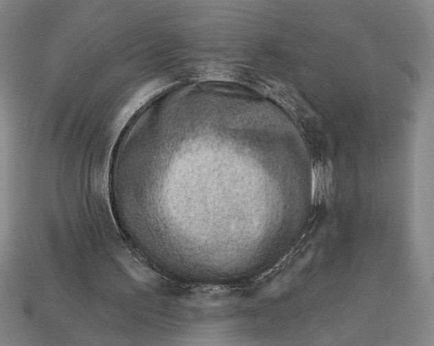 X0000112920195200909141319