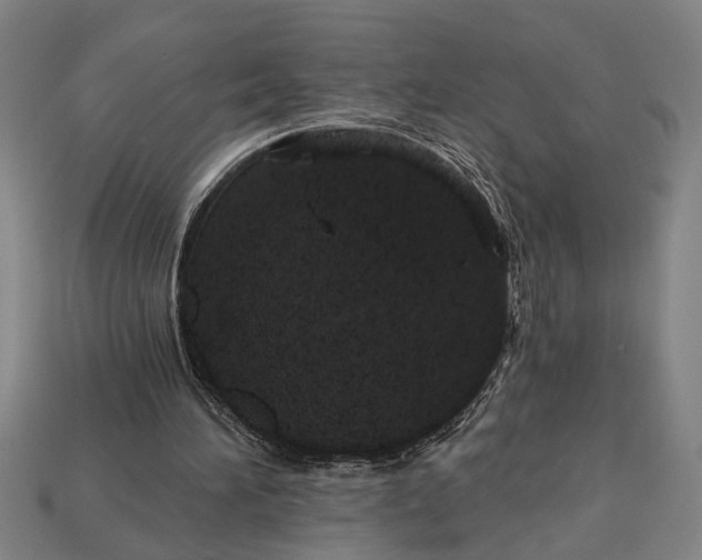 X0000112920196200909141319