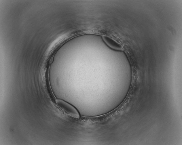 X0000112920197200909141319