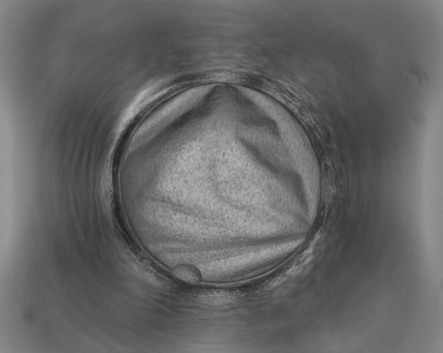 X0000112920198200909141319