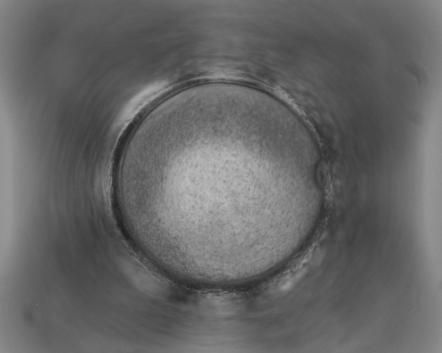 X0000112920199200909141319