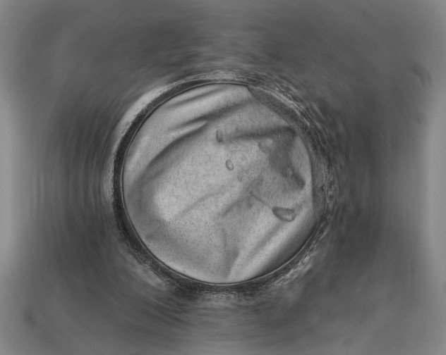 X0000112920200200909141319