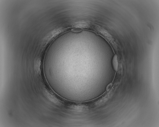 X0000112920201200909141319