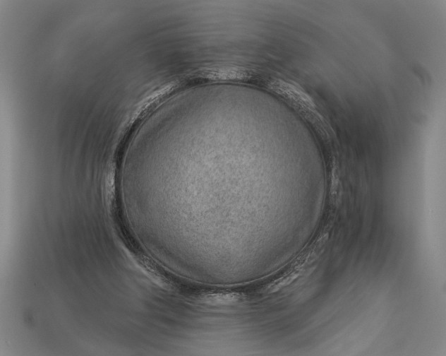 X0000112920202200909141319