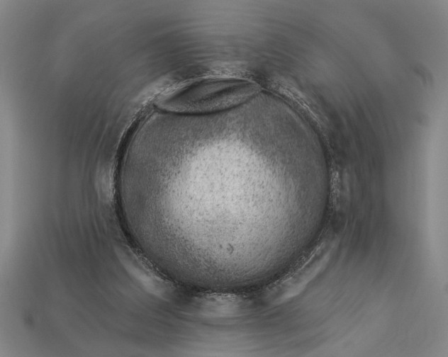 X0000112920203200909141319