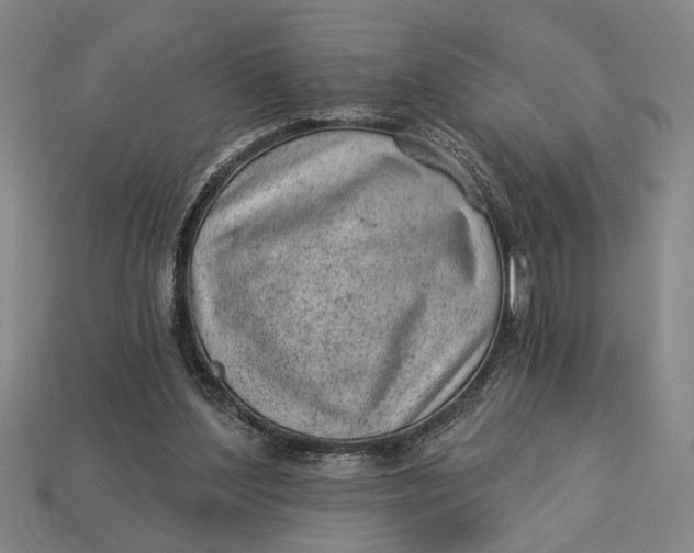X0000112920204200909141319